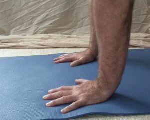 Pushup with hands flat on floor